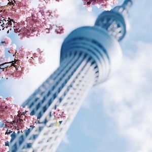 Meet your Posher, Regina